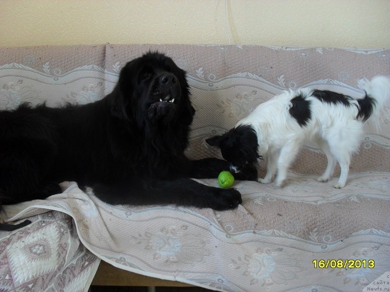 Фотография № 133050