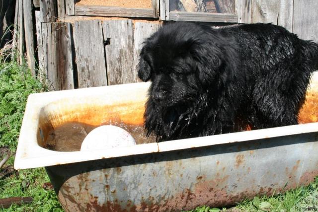 Фотография № 13306