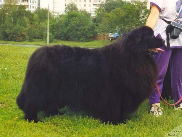 Фотография № 133060