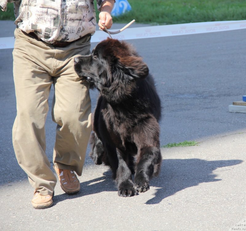 Фотография № 133068