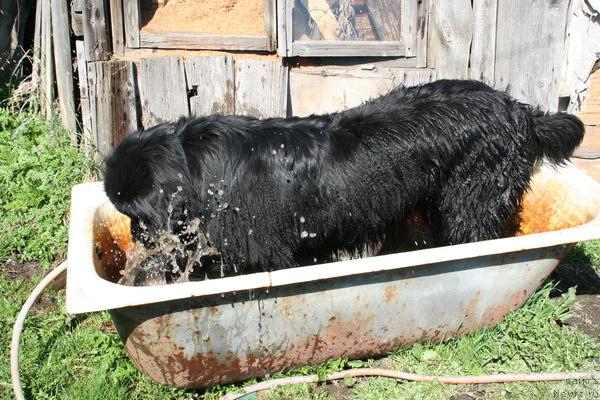 Фотография № 13307