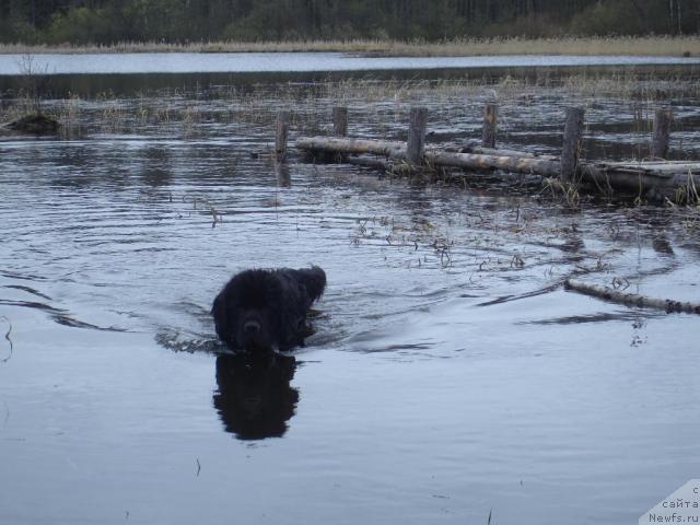 Фотография № 13311