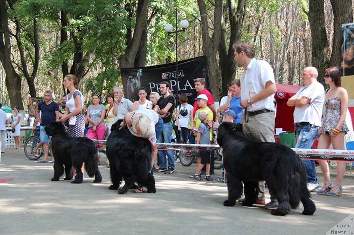 Фотография № 133113