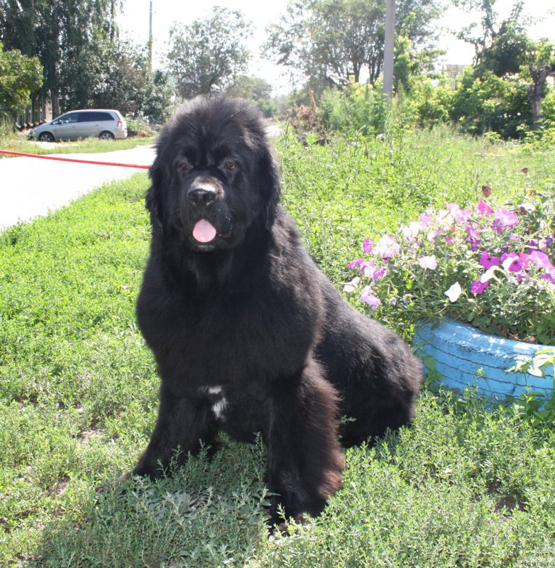 Фотография № 133119