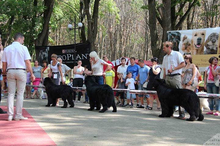 Фотография № 133122