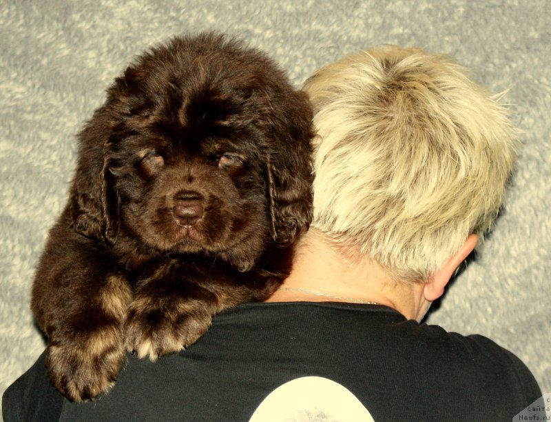 Фотография № 133127