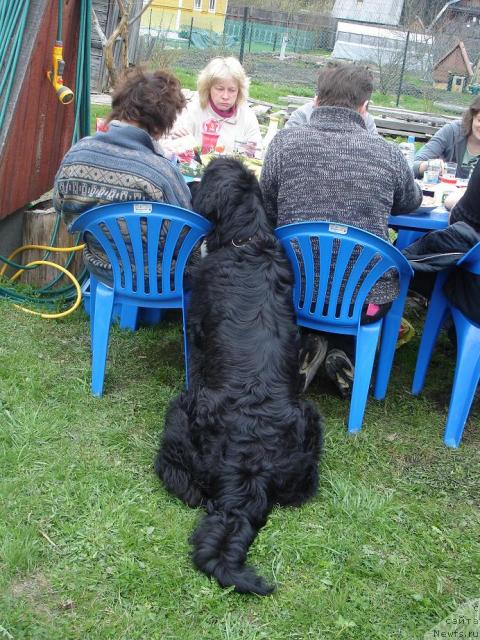 Фотография № 13314