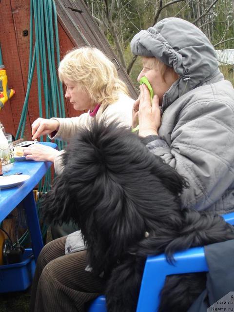 Фотография № 13315