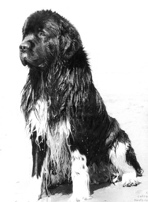 Фотография № 133165