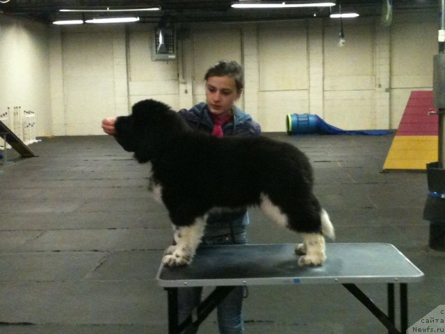 Фотография № 133166