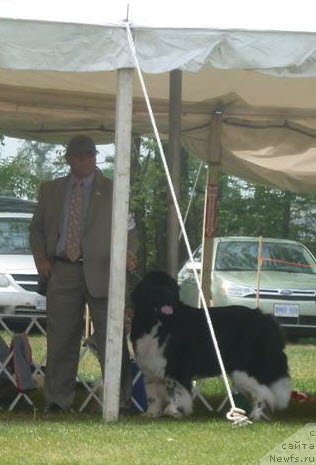 Фотография № 133167