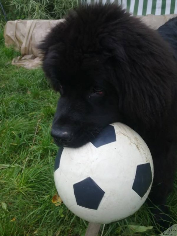 Фотография № 133240