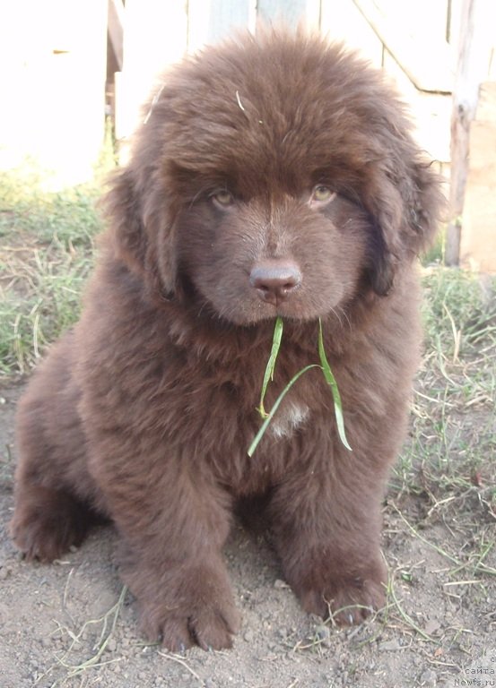 Фотография № 133241