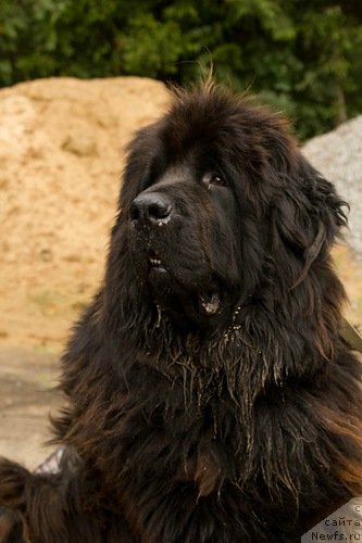 Фотография № 133344