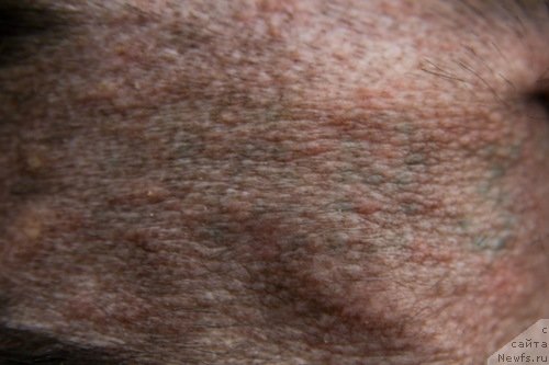 Фотография № 133346