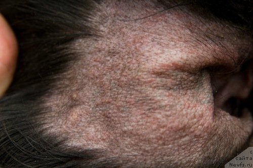 Фотография № 133347