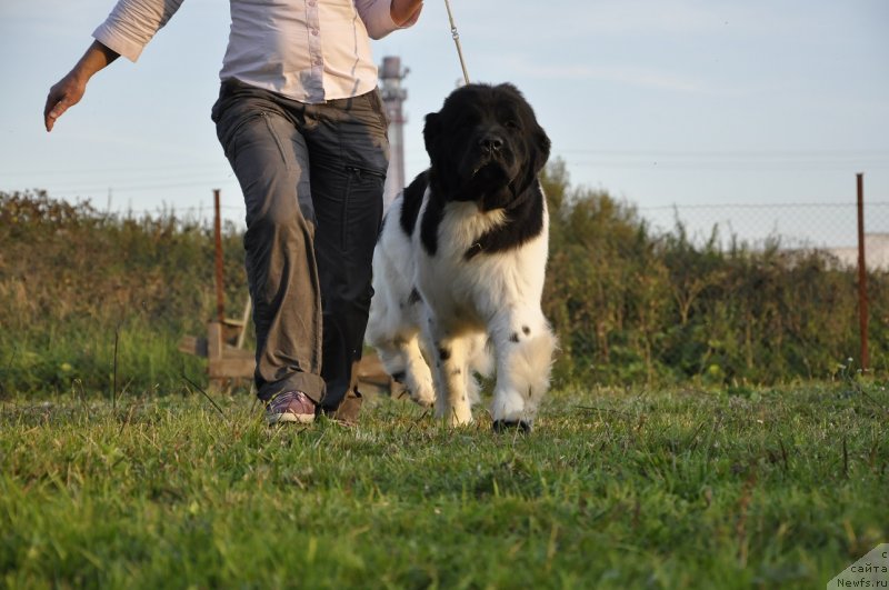 Фотография № 133380