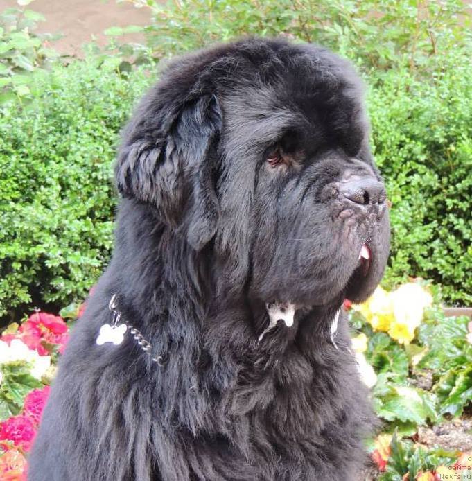 Фотография № 133385