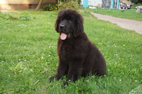 Фотография № 133390