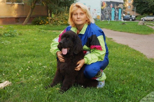 Фотография № 133392