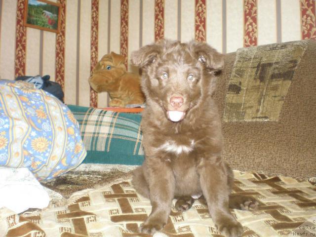 Фотография № 13340