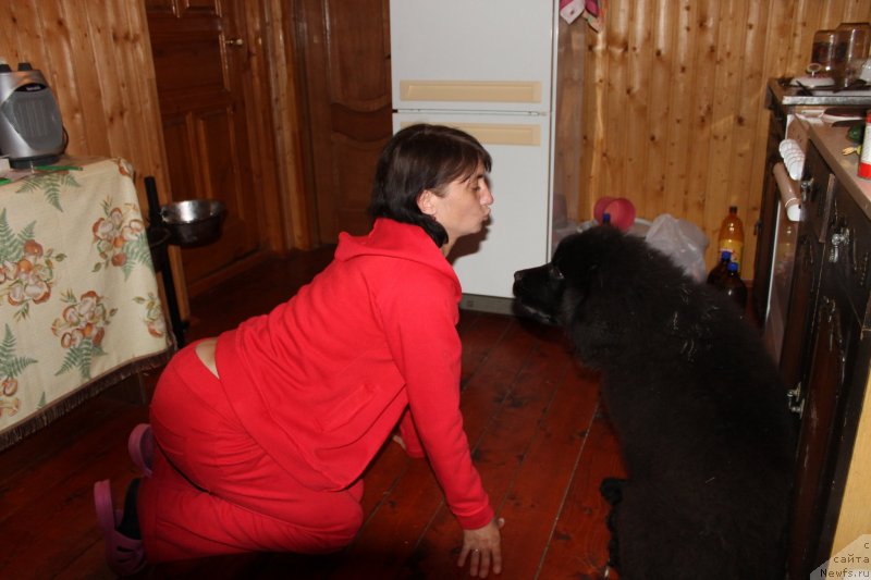 Фотография № 133420