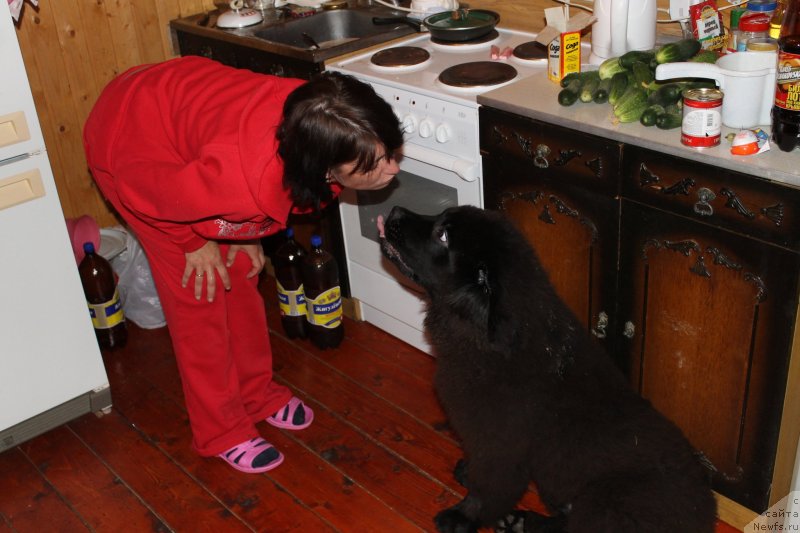 Фотография № 133421