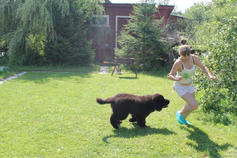 Фотография № 133423