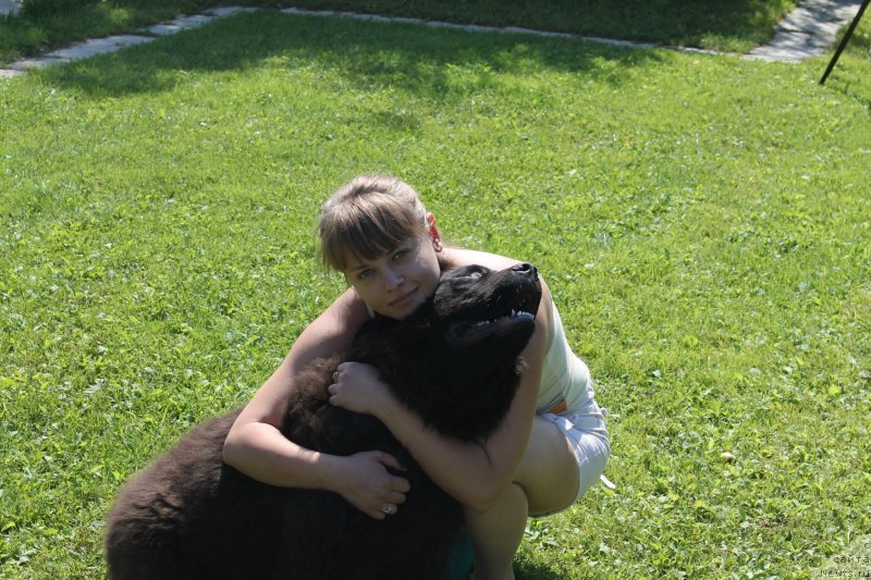 Фотография № 133425