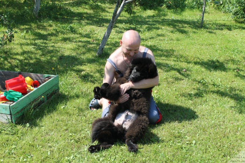 Фотография № 133426