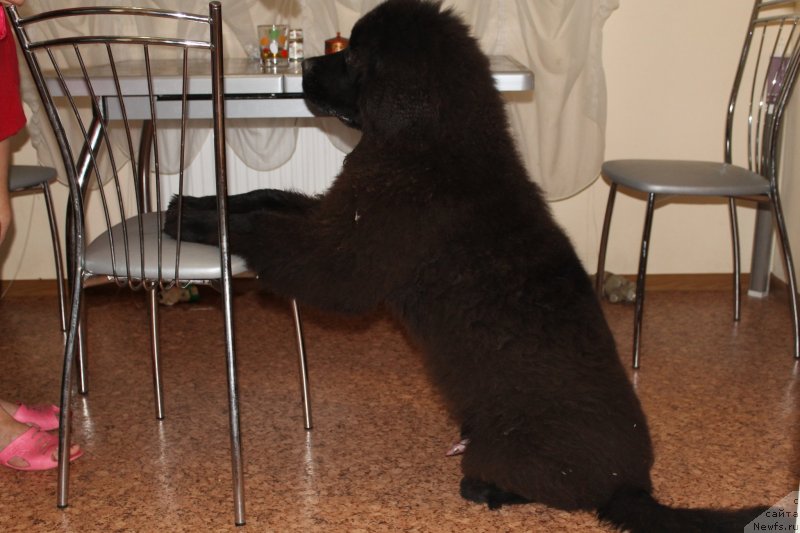 Фотография № 133433