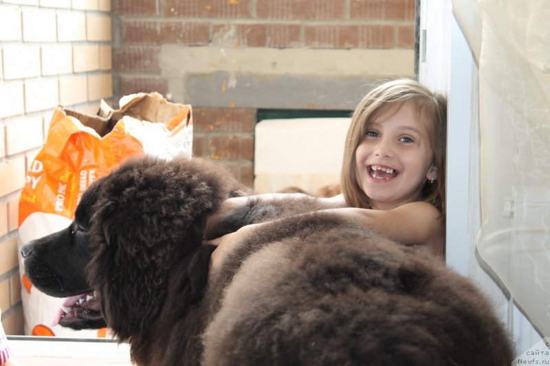 Фотография № 133434