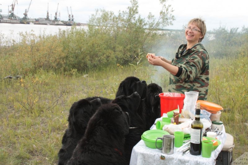 Фото: Елена Кузьмина, ньюфаундленд Глория Гранд Блек, ньюфаундленд Neretum Tribe Xagrid, ньюфаундленд Янтарная Мечта, ньюфаундленд Бегущая по Волнам Зеро Коол, ньюфаундленд Fortuna of Giant's Island