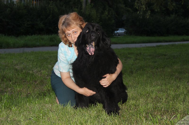 Фотография № 133447