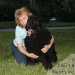 Фотография № 133450