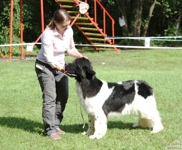 Фотография № 133464