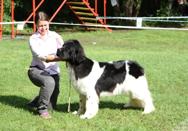 Фотография № 133465