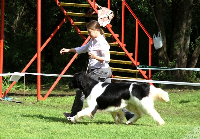 Фотография № 133466