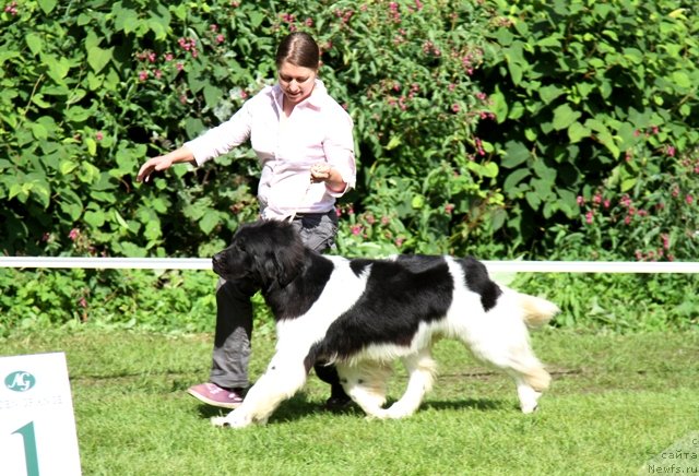 Фотография № 133467