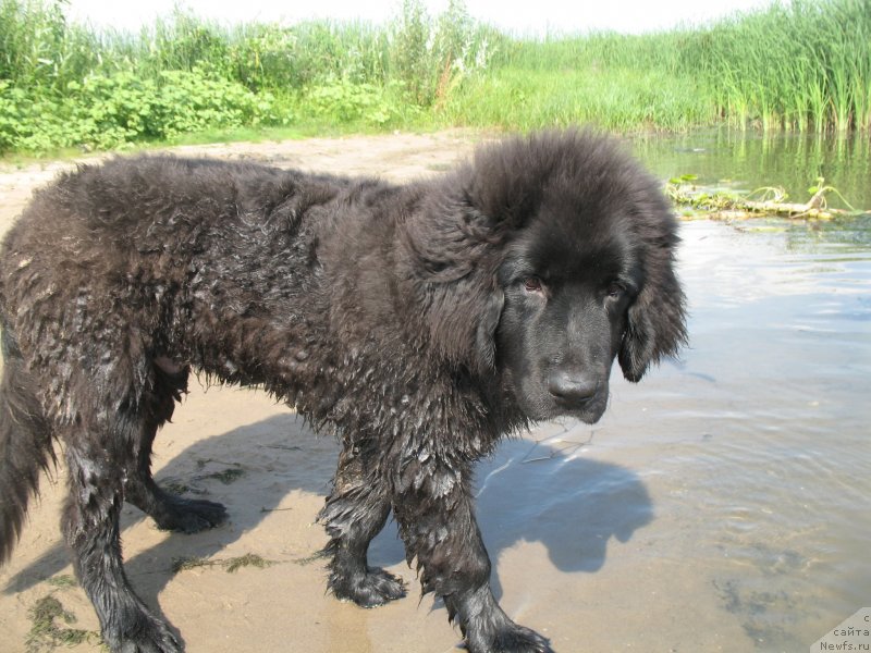 Фотография № 133501