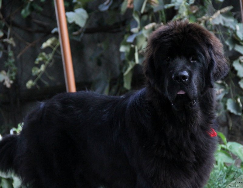 Фотография № 133546