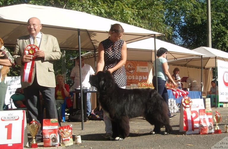 Фотография № 133548