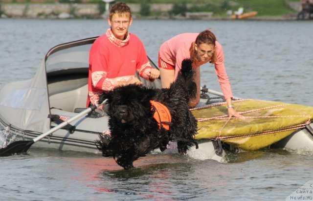 Фотография № 133593