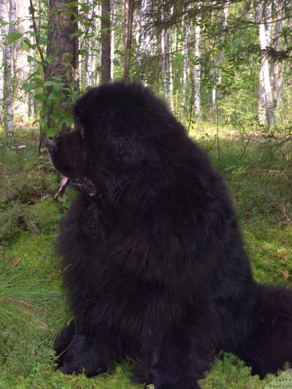 Фотография № 133602