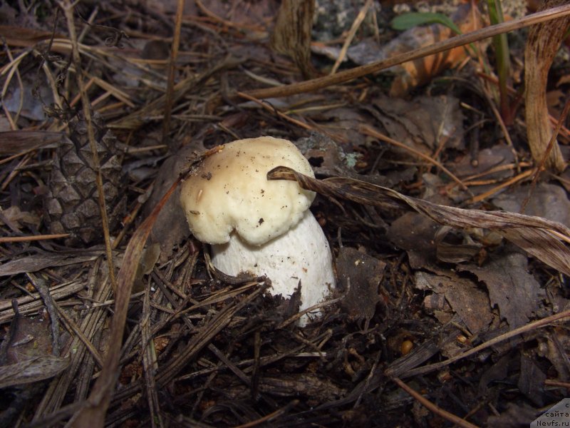 Фотография № 133607