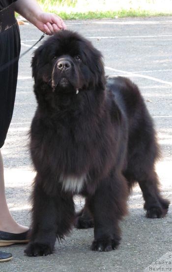 Фотография № 133631