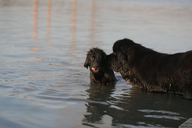 Фотография № 133637