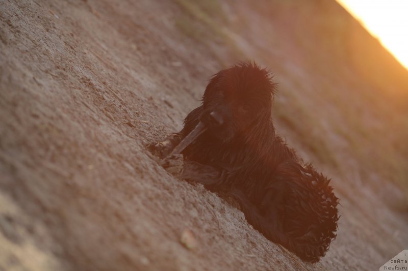 Фотография № 133638