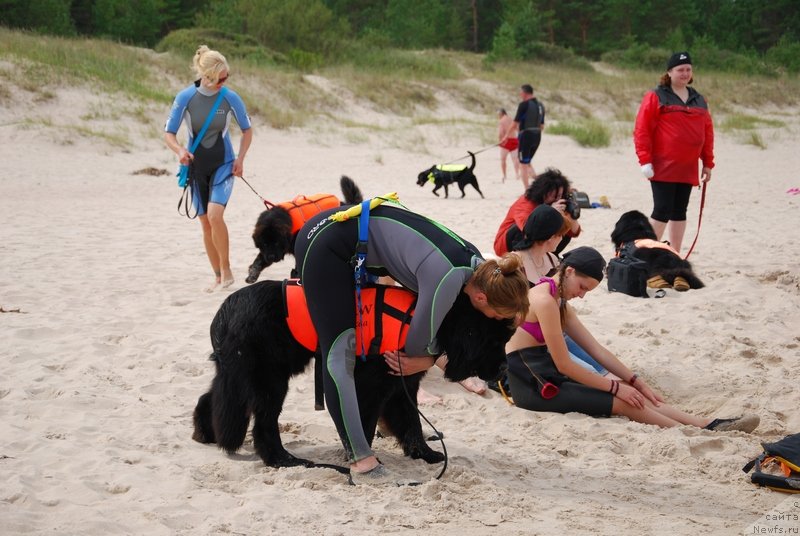 Фотография № 133648