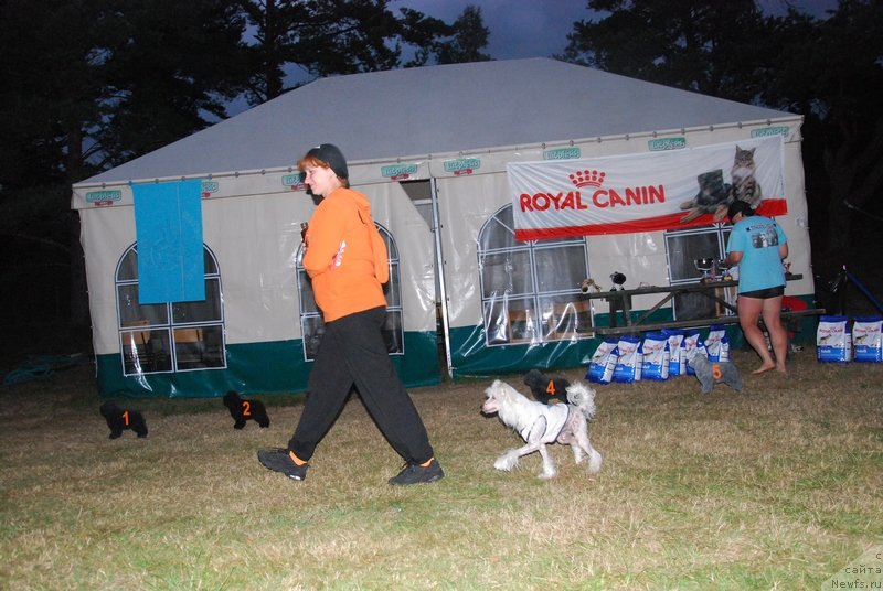 Фотография № 133649